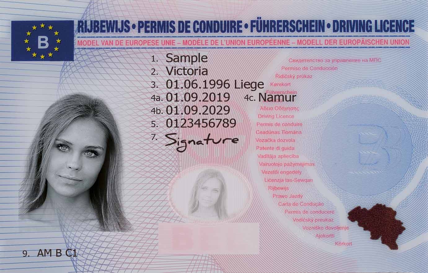Wzór dokumentu dla Belgia