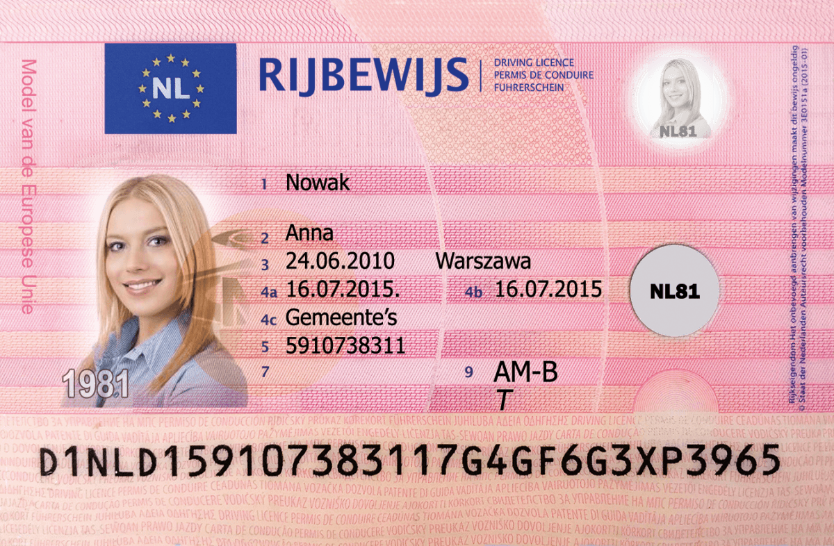 Wzór dokumentu dla Holandia